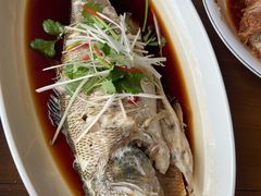 -二分八云雁阁•新晋菜大同味(长治路店)