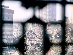 -长春观