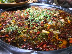 -正宗来凤鱼璧山兔(花卉园店)