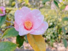 -苏州河梦清园环保主题公园