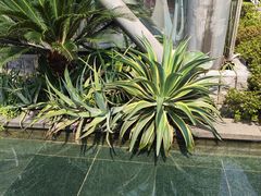 -南山植物园