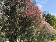 -宝能国际体育演艺中心