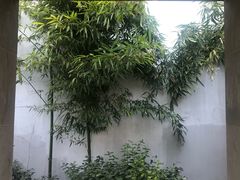 -嘉定博物馆