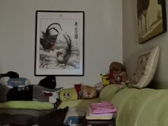 -天通西苑三区