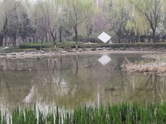 -木塔寺遗址生态公园