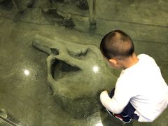 -大庆市博物馆