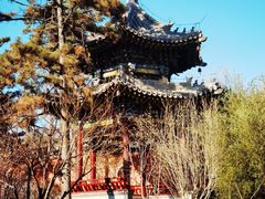 -晋祠公园