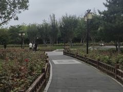 -西海子公园