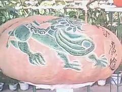 -北戴河集发农业梦想王国