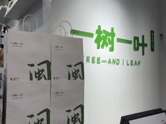 -一树一叶·福建茶档(石鼓路店)