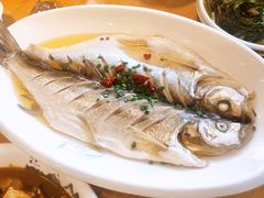 清蒸白鱼-品鲜村农家菜·阳澄湖大闸蟹(总店)