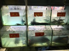 水产区-干老四雅鱼饭店(滨江西路店)