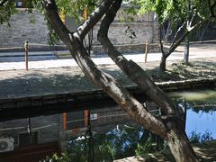 -春风习习