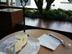 -Seesaw Coffee(朝阳大悦城店)