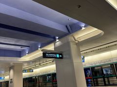 -望京西(地铁站)