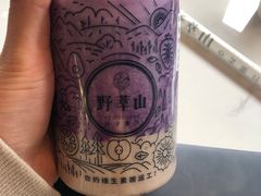 -野萃山·潮汕厚果汁(十亩地店)