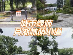 -月湖风景区