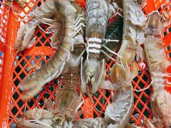 -大东海海鲜酒楼(渔人码头总店)