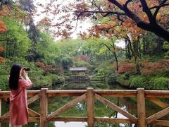 -南山植物园