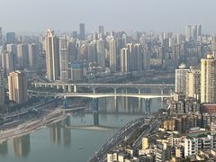 -李子坝梁山鸡(李子坝大鸡哥店)