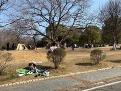 -南京市江宁方山