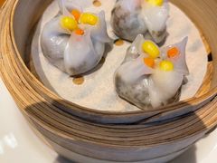 -广州富力君悦大酒店空中花园