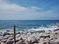 -广东惠东海龟国家级自然保护区
