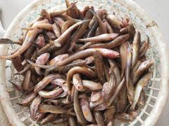 -四海蒸鲜蒸汽海鲜自助(北戴河店)