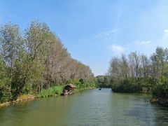 -溱湖国家湿地公园