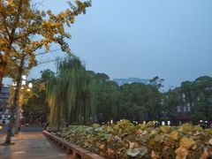 -四川大学(望江校区)