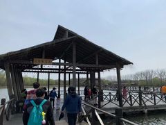 -溱湖国家湿地公园