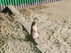-杭州野生动物世界