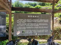 -杨家堂村