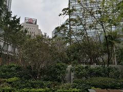 -圣约翰座堂