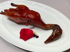 -翠府(翠湖北路店)