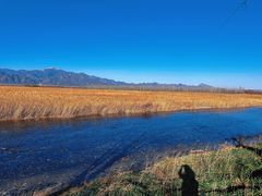 -野鸭湖国家湿地公园