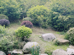 -宝界山林公园