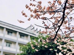 -南京市中医院-体检中心