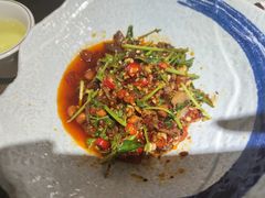 香菜拌牛肉-田趣园长沙菜(天安云谷店)