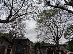 -莫干山风景区
