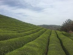 -四明山国家森林公园