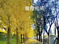 -内蒙古驻京办餐厅