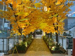 -新白鹿餐厅(百联中环店)