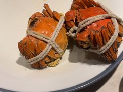-杨氏青龙虾·羊蝎子(金盛路总店)
