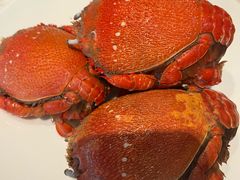 -长沙三景韦尔斯利酒店·Oval全日制餐厅自助餐