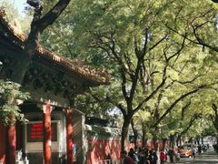 -北京国子监胡同
