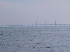 -野狸岛