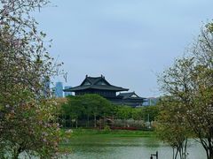 -海珠湖公园