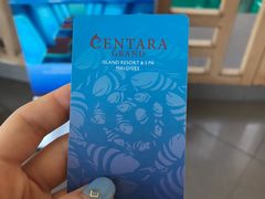 -中央格兰德岛温泉度假酒店 - 全包