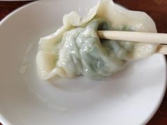 -启子大馅饺子